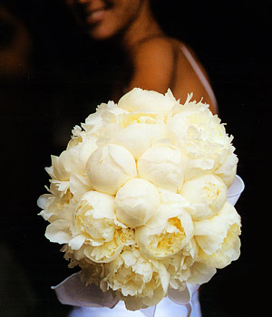 Lemon Yellow Wedding Ideas Large lemon peony bridal bouquet1 Absolute Perfection