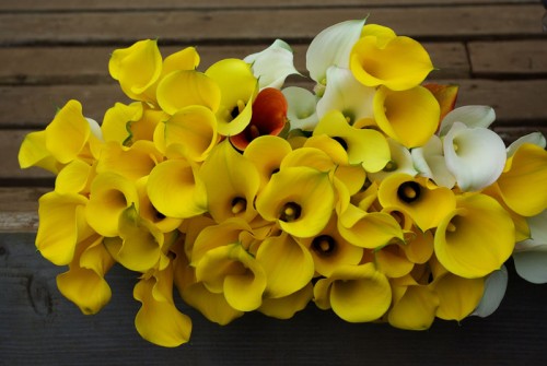 Lemon Yellow Wedding Ideas Yellow calla lilly bouquet e1441780414852 Absolute Perfection