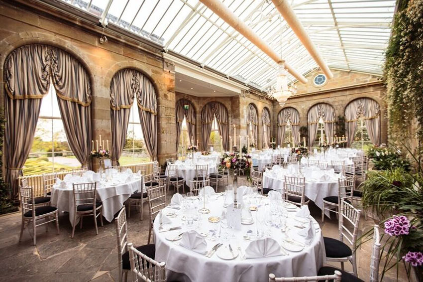 Enchanting Orangery V