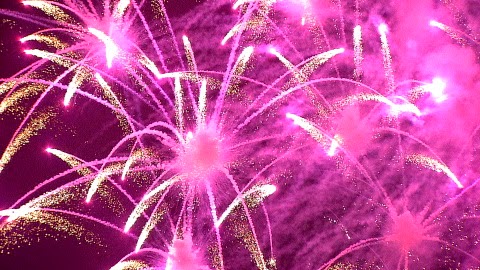 pink fireworks display Absolute Perfection