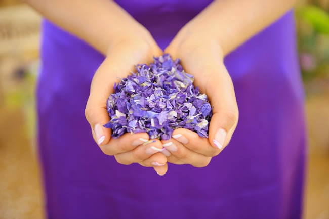 purple 2Bconfetti Absolute Perfection