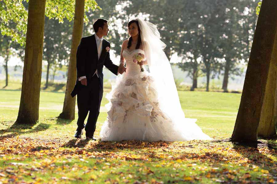 Showcase 5