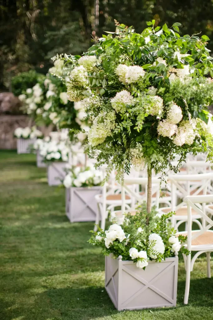 Sustainable, tall potted white lilac tree - the perfect eco-wedding centrepiece or aisle decor